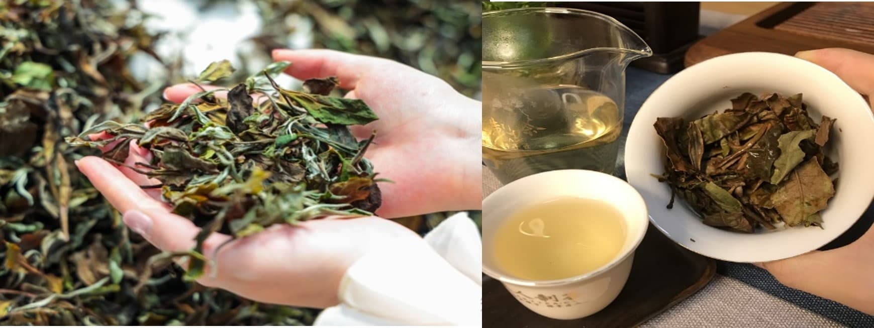 White Tea
