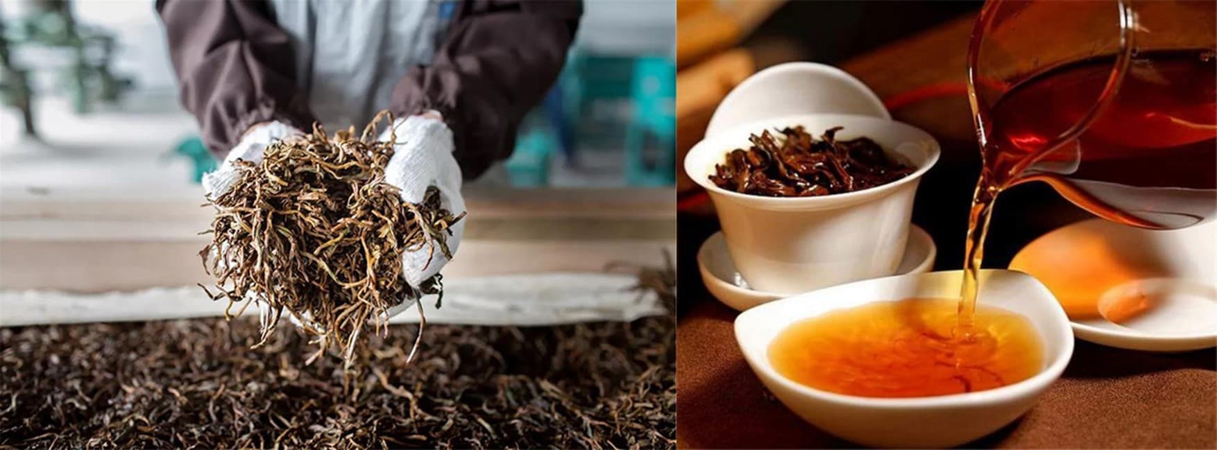 Black Tea